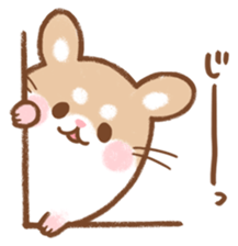 Fluffy Roborovskii hamster sticker #12621518