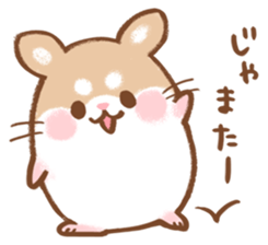 Fluffy Roborovskii hamster sticker #12621521