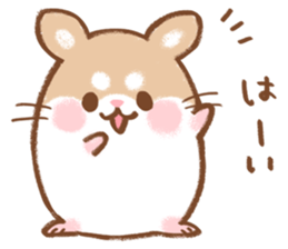 Fluffy Roborovskii hamster sticker #12621524