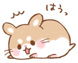 Fluffy Roborovskii hamster sticker #12621530