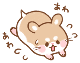 Fluffy Roborovskii hamster sticker #12621531