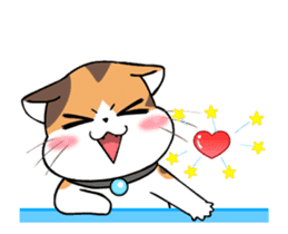 Soidow Cat Animated2 sticker #12622577