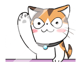Soidow Cat Animated2 sticker #12622581