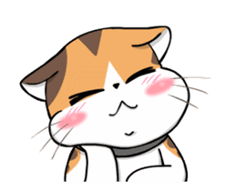 Soidow Cat Animated2 sticker #12622582
