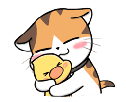 Soidow Cat Animated2 sticker #12622587