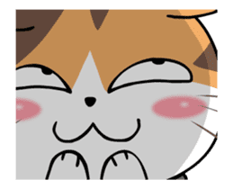 Soidow Cat Animated2 sticker #12622589