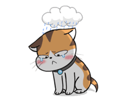 Soidow Cat Animated2 sticker #12622592