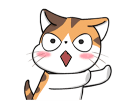 Soidow Cat Animated2 sticker #12622594