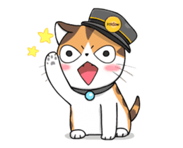 Soidow Cat Animated2 sticker #12622595