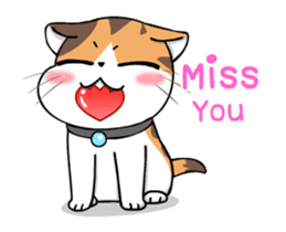Soidow Cat Animated2 sticker #12622597