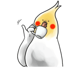 Creatures such as the cockatiel 6 sticker #12623973