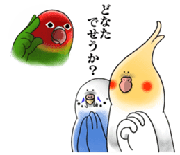 Creatures such as the cockatiel 6 sticker #12623982