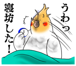 Creatures such as the cockatiel 6 sticker #12623983