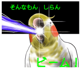Creatures such as the cockatiel 6 sticker #12623992