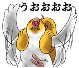 Creatures such as the cockatiel 6 sticker #12623994