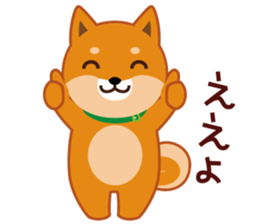 Shiba dog "MUSASHI" 9.Oosaka accent sticker #12624167