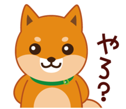 Shiba dog "MUSASHI" 9.Oosaka accent sticker #12624170
