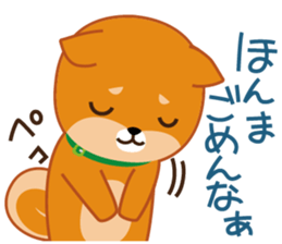 Shiba dog "MUSASHI" 9.Oosaka accent sticker #12624175