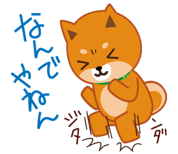 Shiba dog "MUSASHI" 9.Oosaka accent sticker #12624180