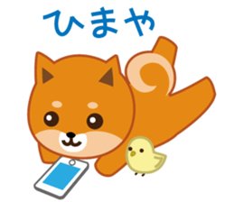 Shiba dog "MUSASHI" 9.Oosaka accent sticker #12624182