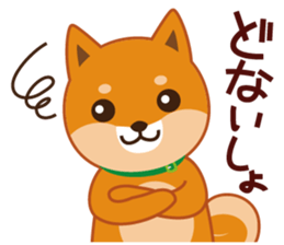 Shiba dog "MUSASHI" 9.Oosaka accent sticker #12624183