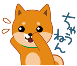 Shiba dog "MUSASHI" 9.Oosaka accent sticker #12624184