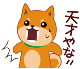 Shiba dog "MUSASHI" 9.Oosaka accent sticker #12624191