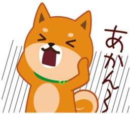 Shiba dog "MUSASHI" 9.Oosaka accent sticker #12624195