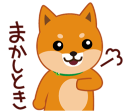 Shiba dog "MUSASHI" 9.Oosaka accent sticker #12624198