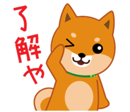 Shiba dog "MUSASHI" 9.Oosaka accent sticker #12624200