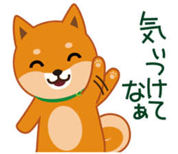 Shiba dog "MUSASHI" 9.Oosaka accent sticker #12624201