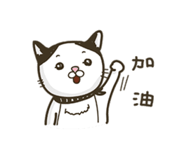 COLA CAT sticker #12625390