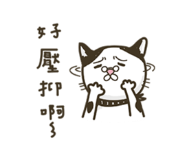 COLA CAT sticker #12625402
