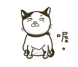 COLA CAT sticker #12625406