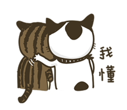 COLA CAT sticker #12625414