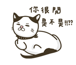 COLA CAT sticker #12625424
