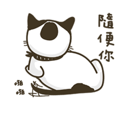 COLA CAT sticker #12625430