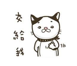 COLA CAT sticker #12625442