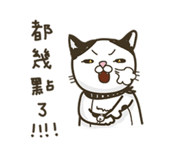 COLA CAT sticker #12625446