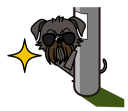 iinu - Affenpinscher sticker #12627660
