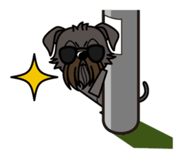 iinu - Affenpinscher sticker #12627660
