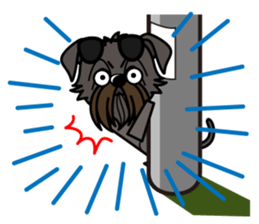 iinu - Affenpinscher sticker #12627661