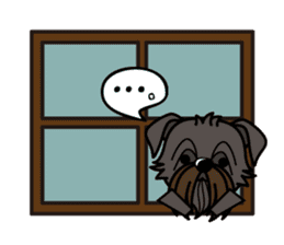 iinu - Affenpinscher sticker #12627666