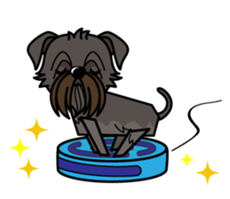 iinu - Affenpinscher sticker #12627668