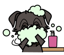 iinu - Affenpinscher sticker #12627669