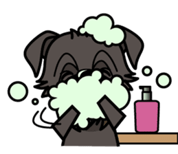 iinu - Affenpinscher sticker #12627669