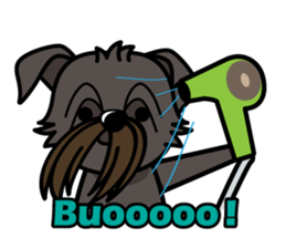 iinu - Affenpinscher sticker #12627670