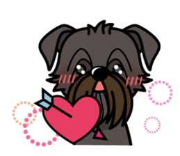 iinu - Affenpinscher sticker #12627674