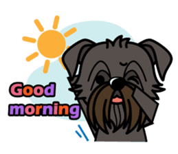 iinu - Affenpinscher sticker #12627678