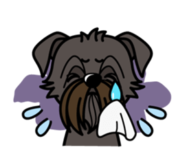 iinu - Affenpinscher sticker #12627680
